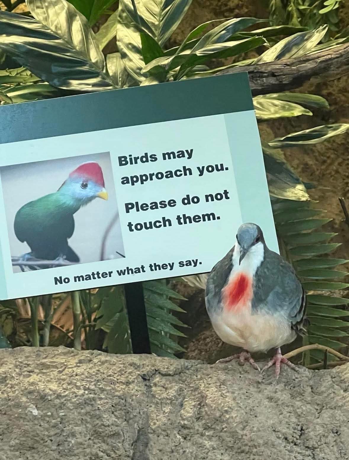 1774290114918.jpeg