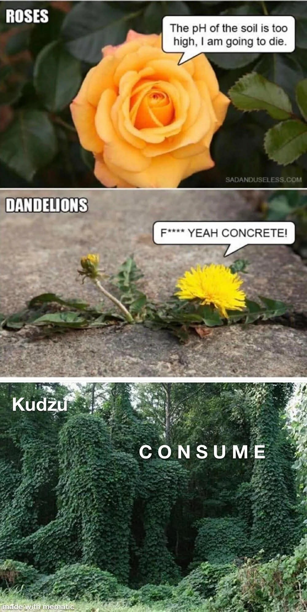 1774290577043.jpeg