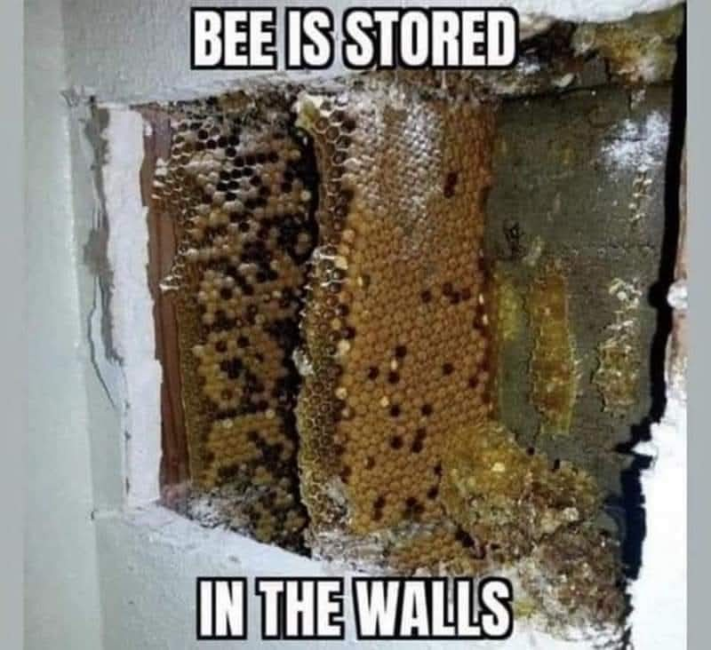 1774524176848.png