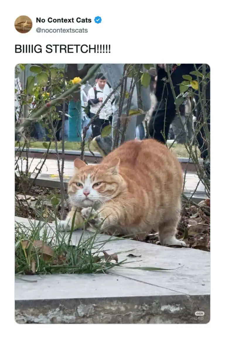 1774540363417.png