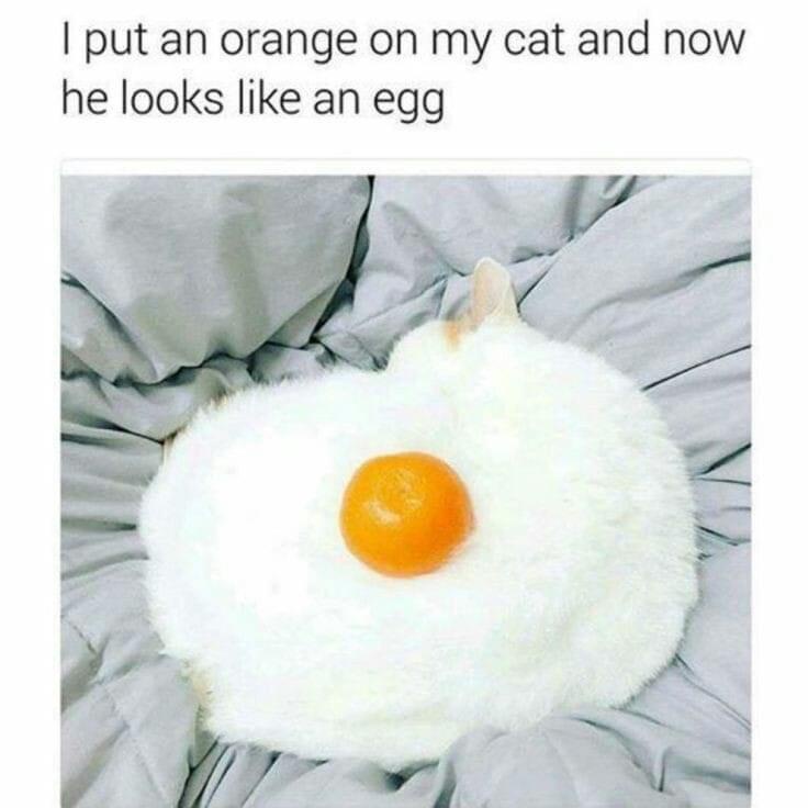 1774686211674.jpeg