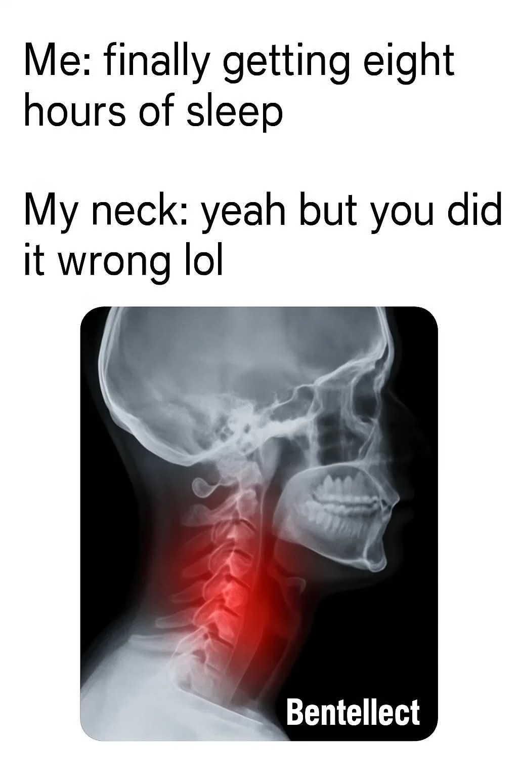 1774909700464.png