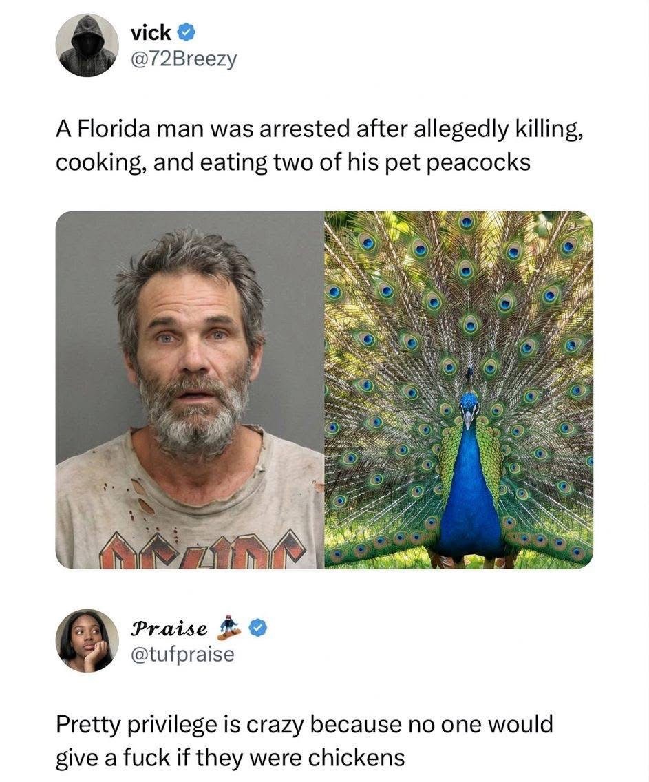 1774969868979.jpeg