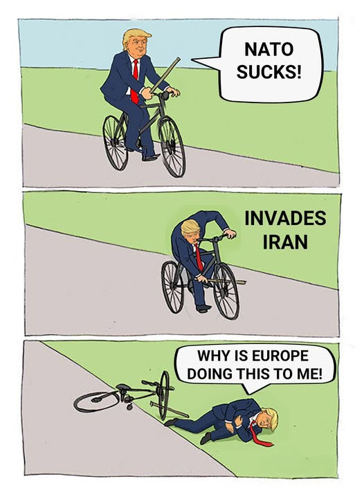 1774991553979.png