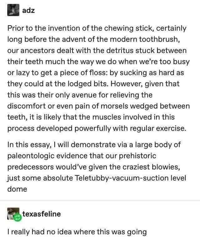 1775044077823.jpeg
