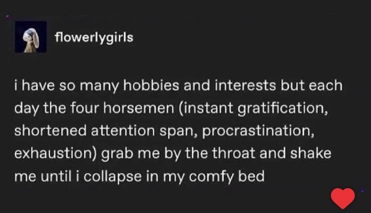 1775195519729.jpeg