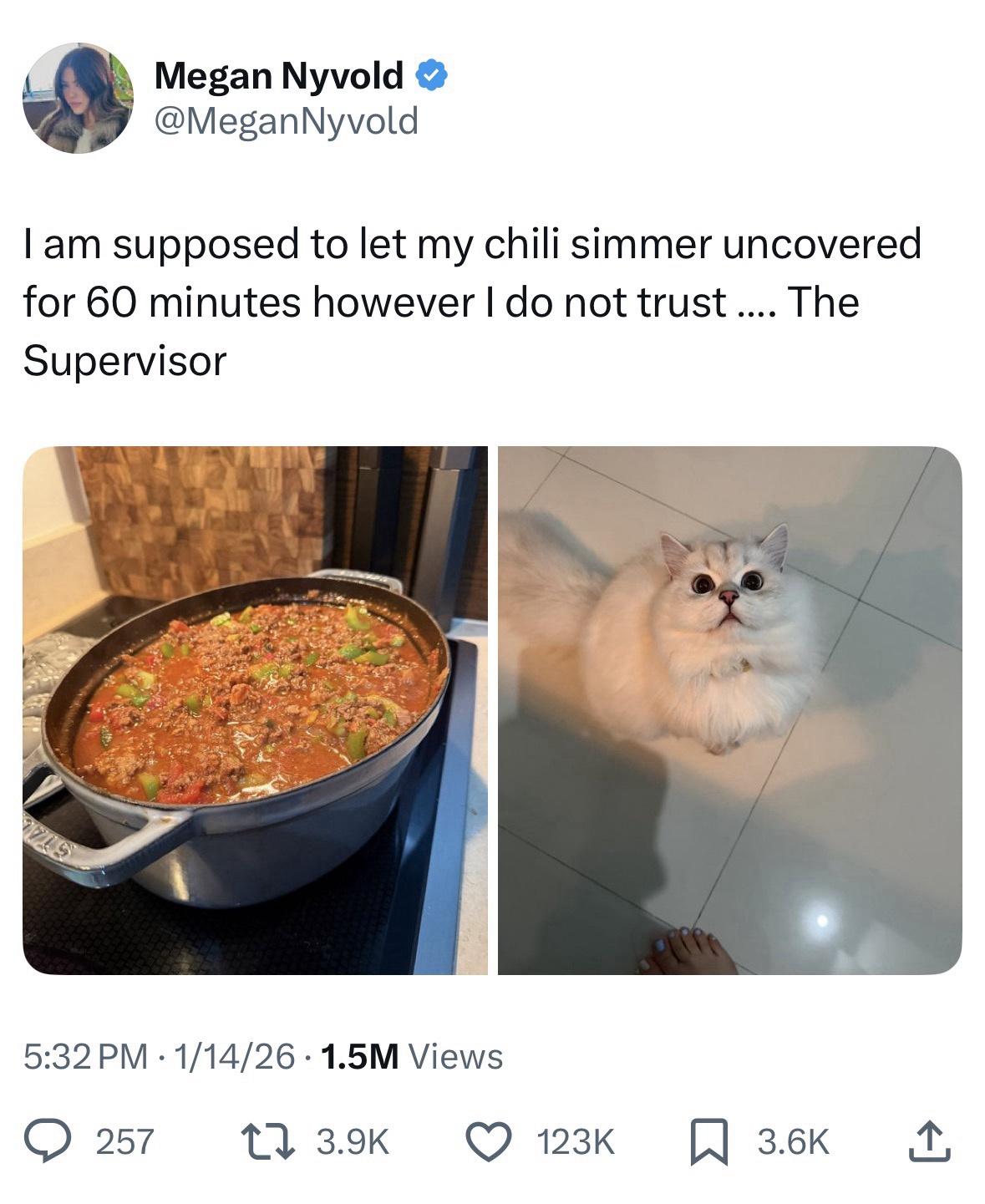 1775195795416.jpeg
