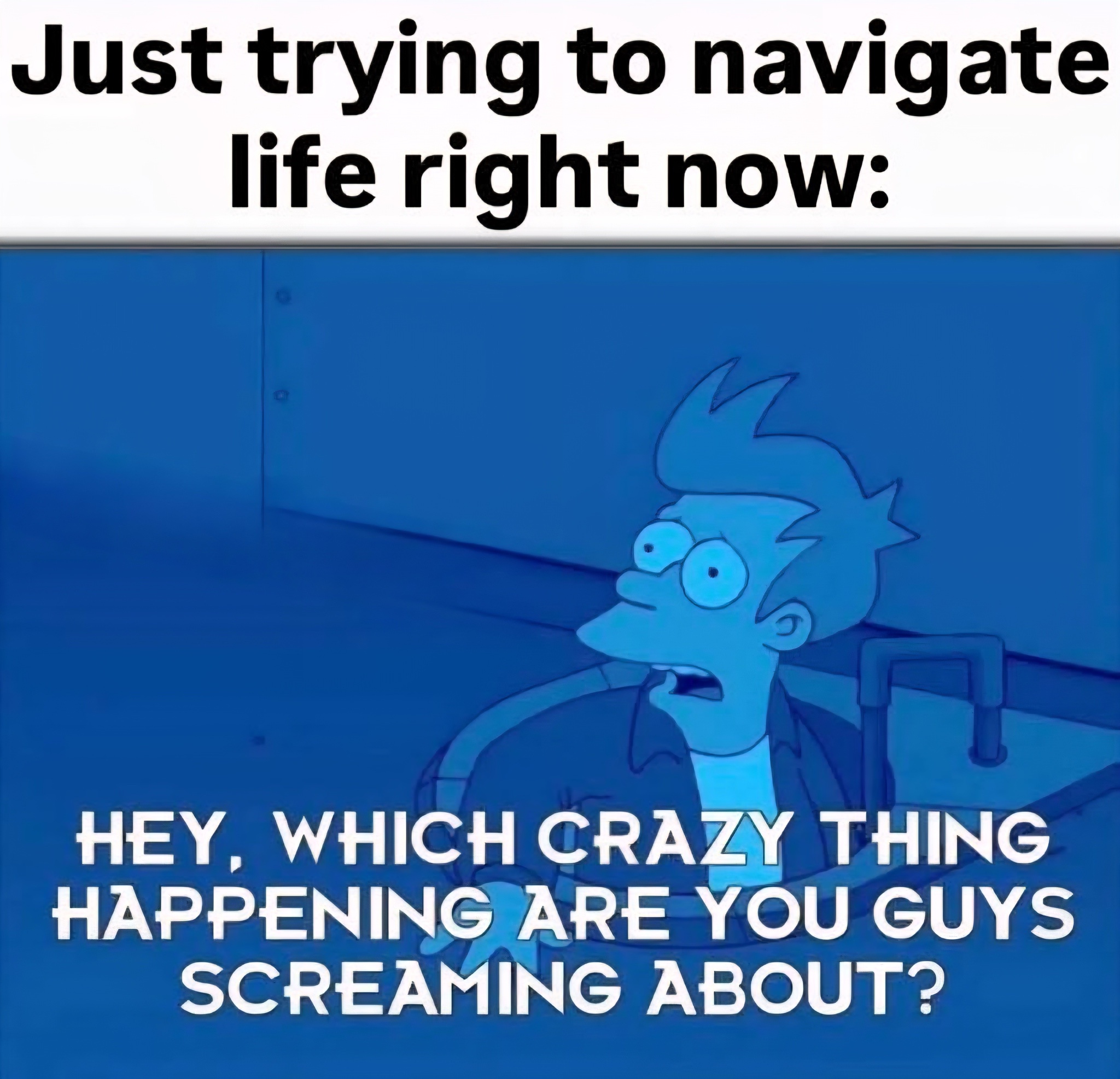 1775379186340.jpeg