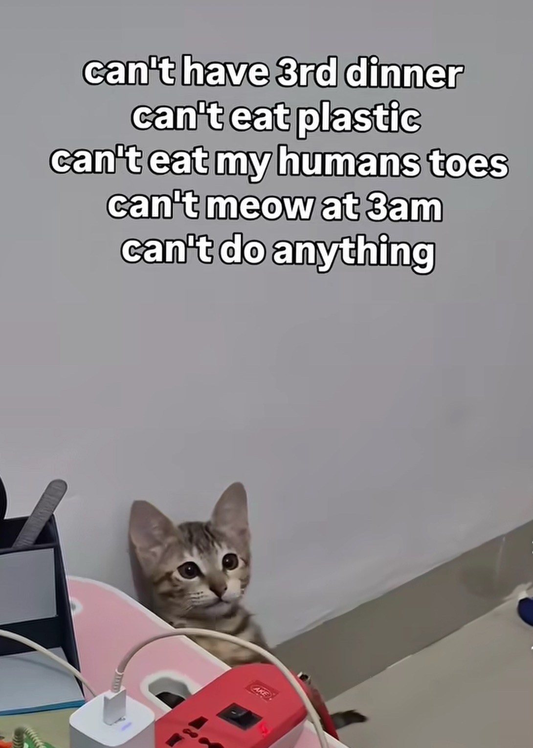 1775383580730.jpeg