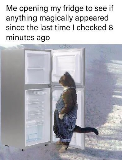 1775432395010.jpeg