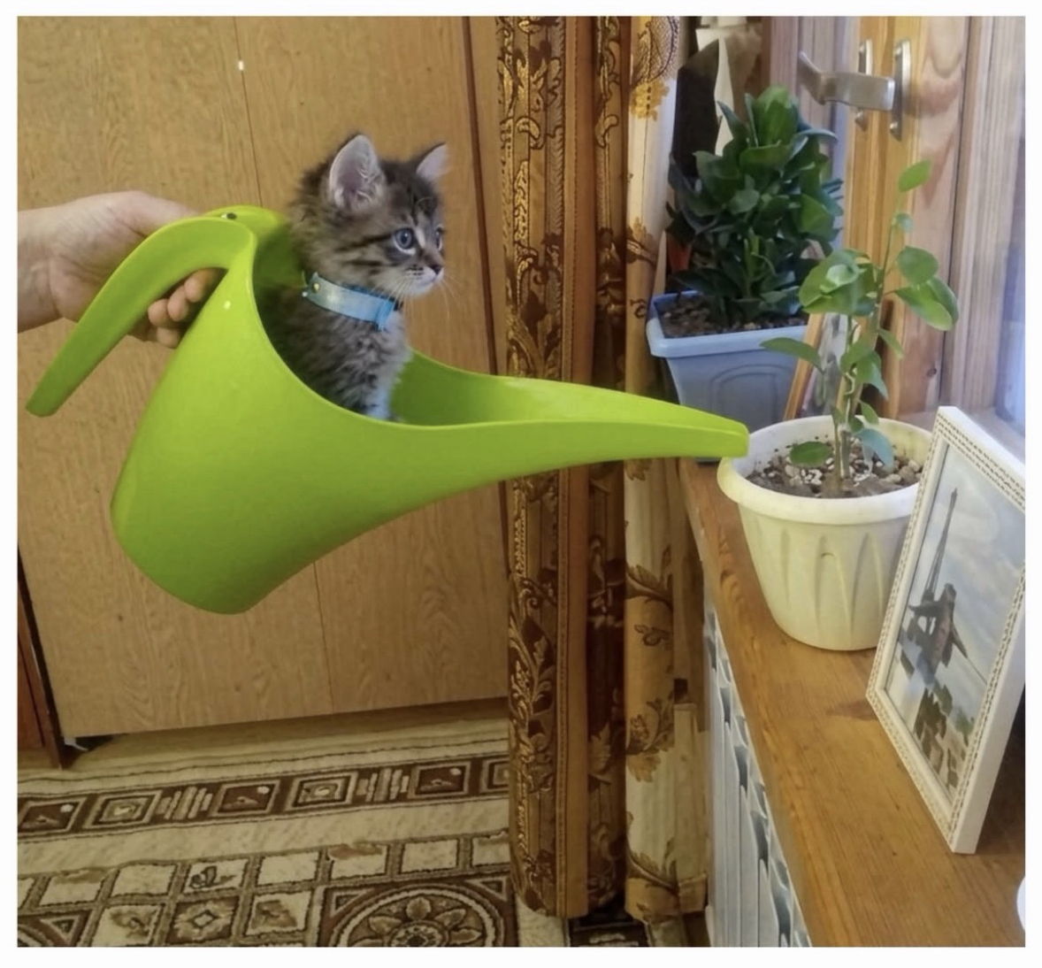 1775518259376.png