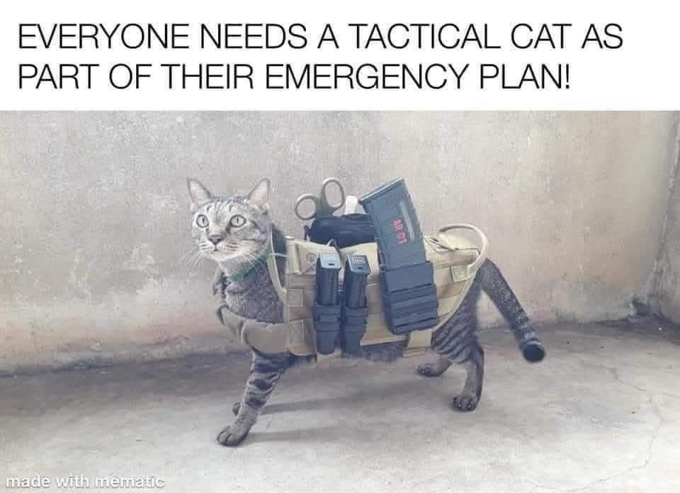 1775575692031.jpeg