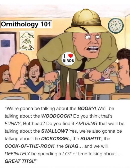 1775761776016.png