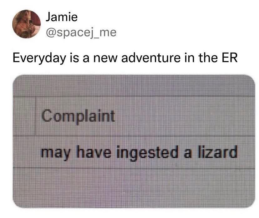 1775996524989.jpeg