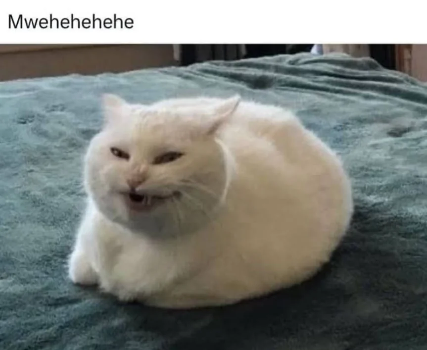 1775999375445.png