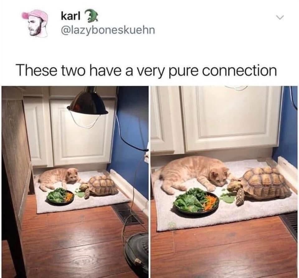 1776003938875.jpeg