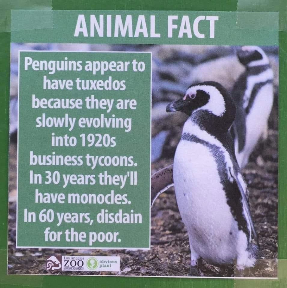 1776035963268.png