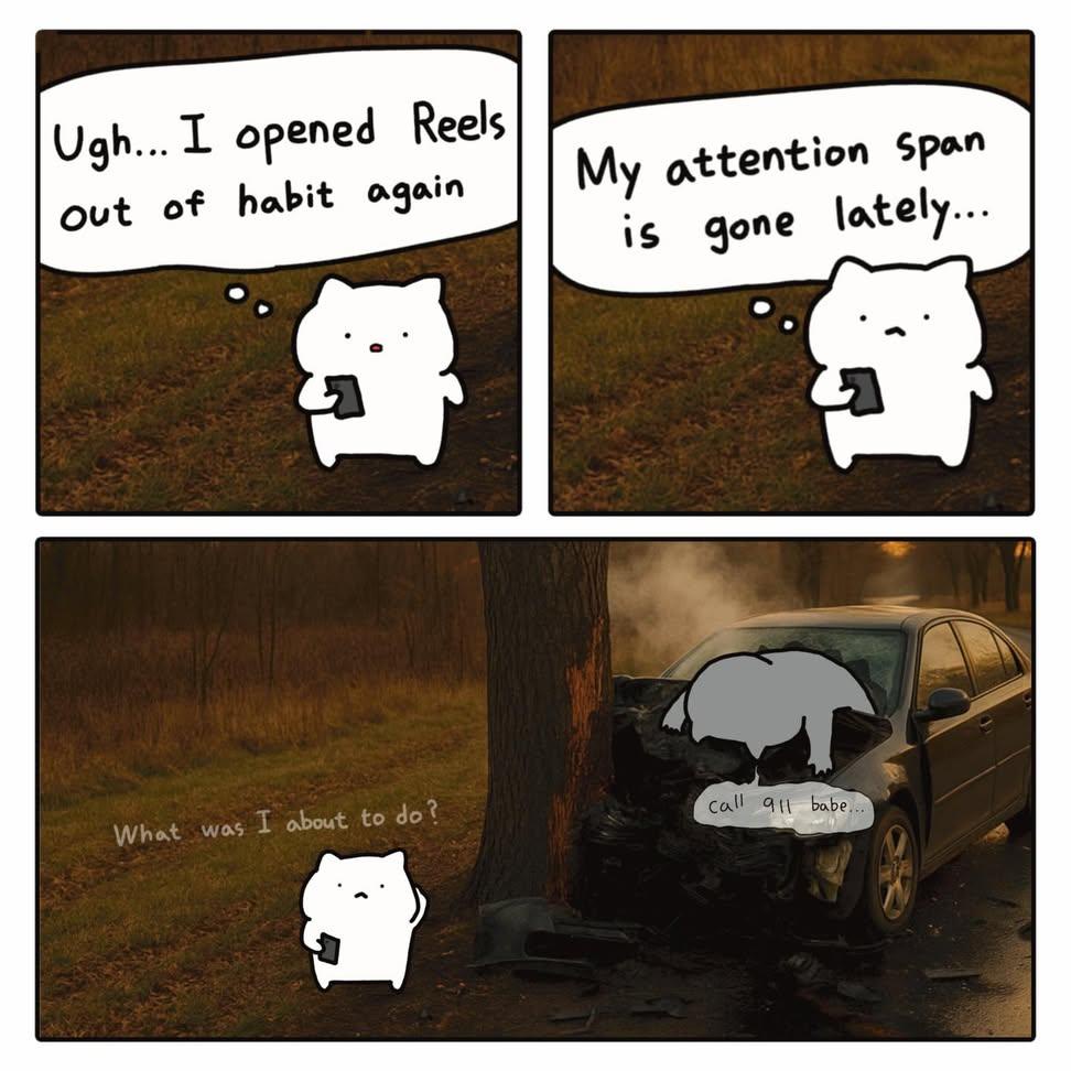 1776095223724.jpeg