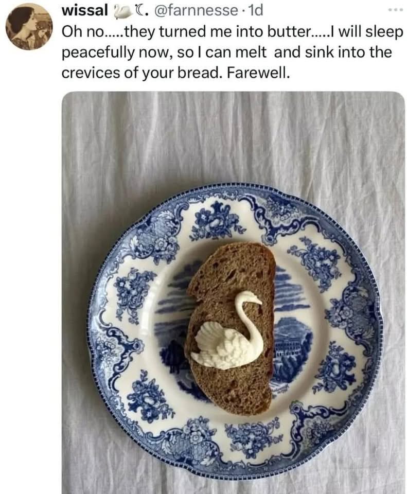 1776269598397.jpeg