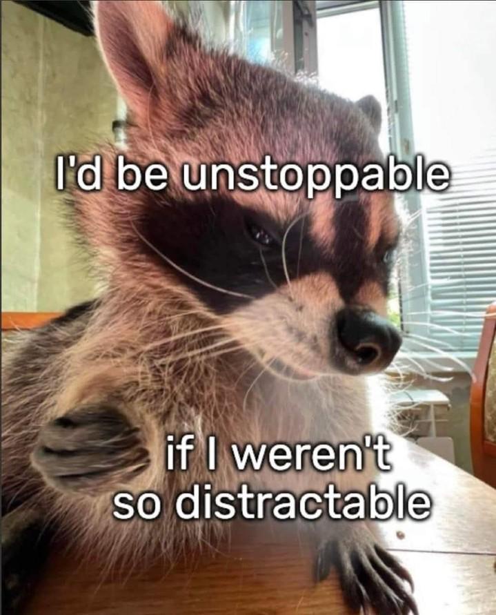 1776432705485.jpeg