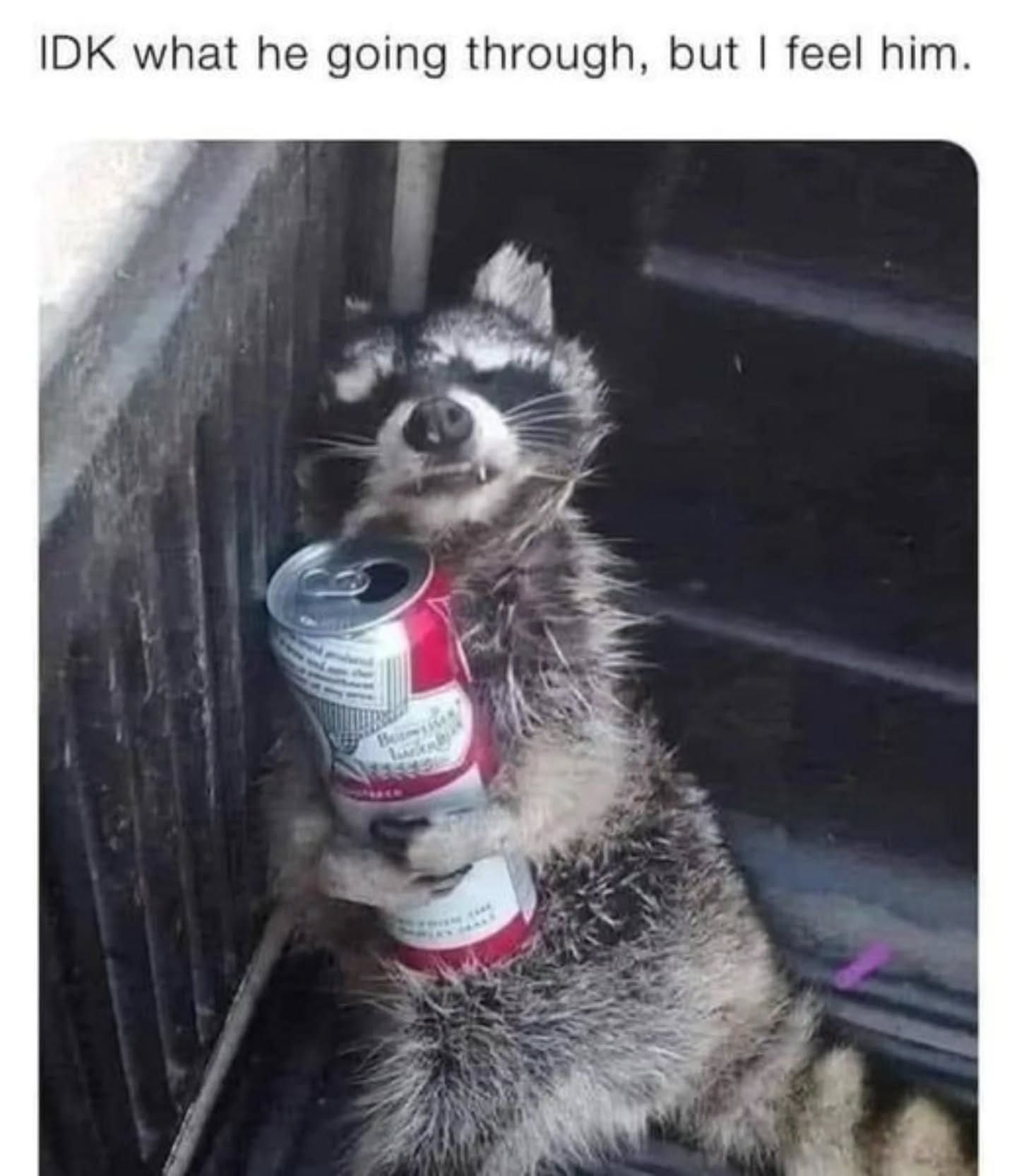 1776608538621.jpeg