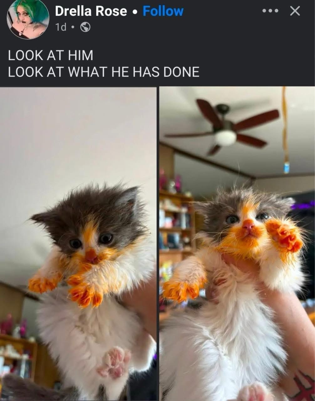 1776609075947.jpeg