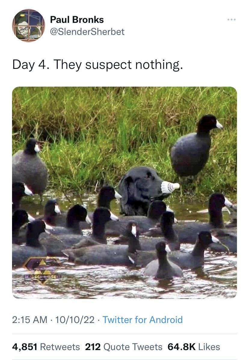 1776633003095.png