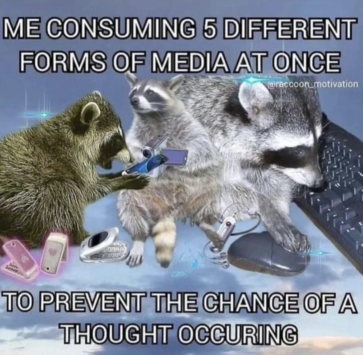 1776695827916.jpeg