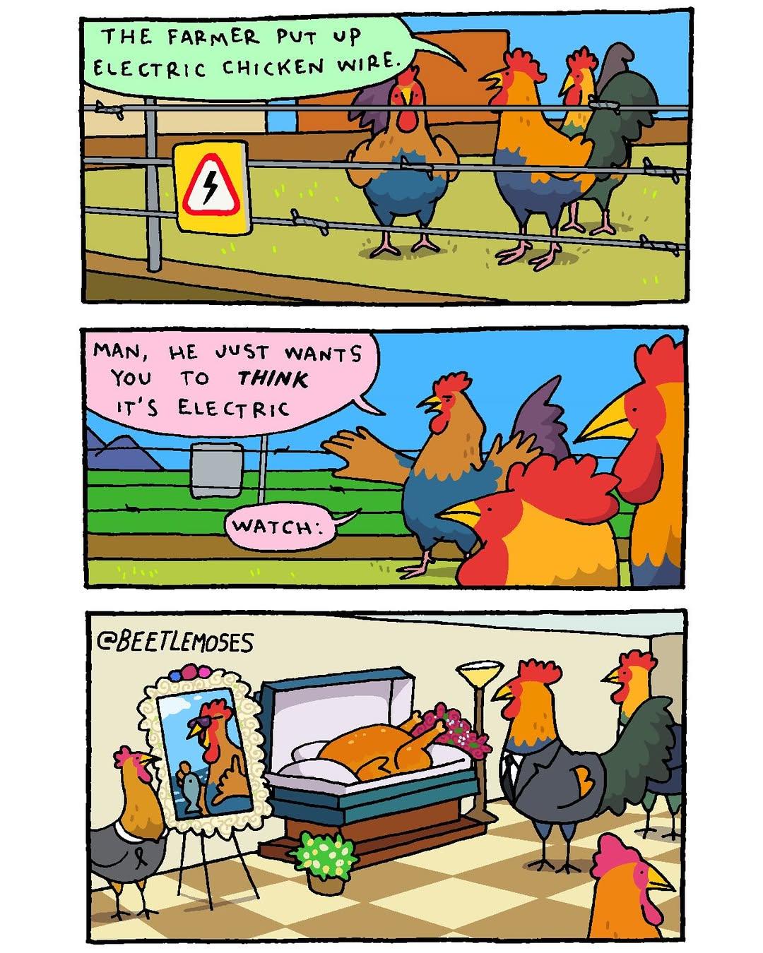 1776695895149.jpeg