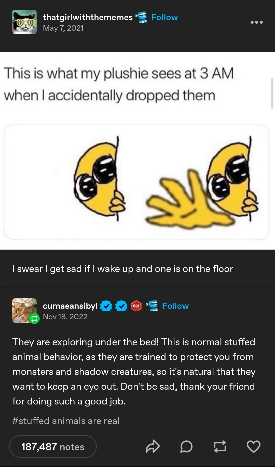 1776708359502.jpeg
