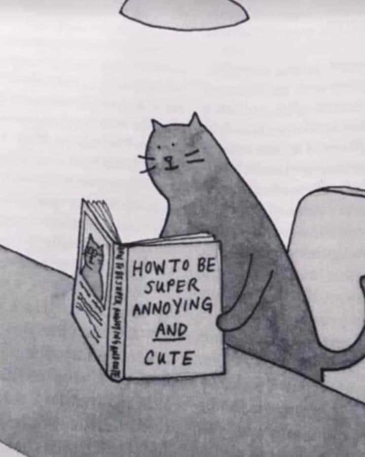 1777103820408.jpeg