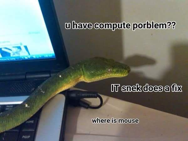 1777292913515.jpeg