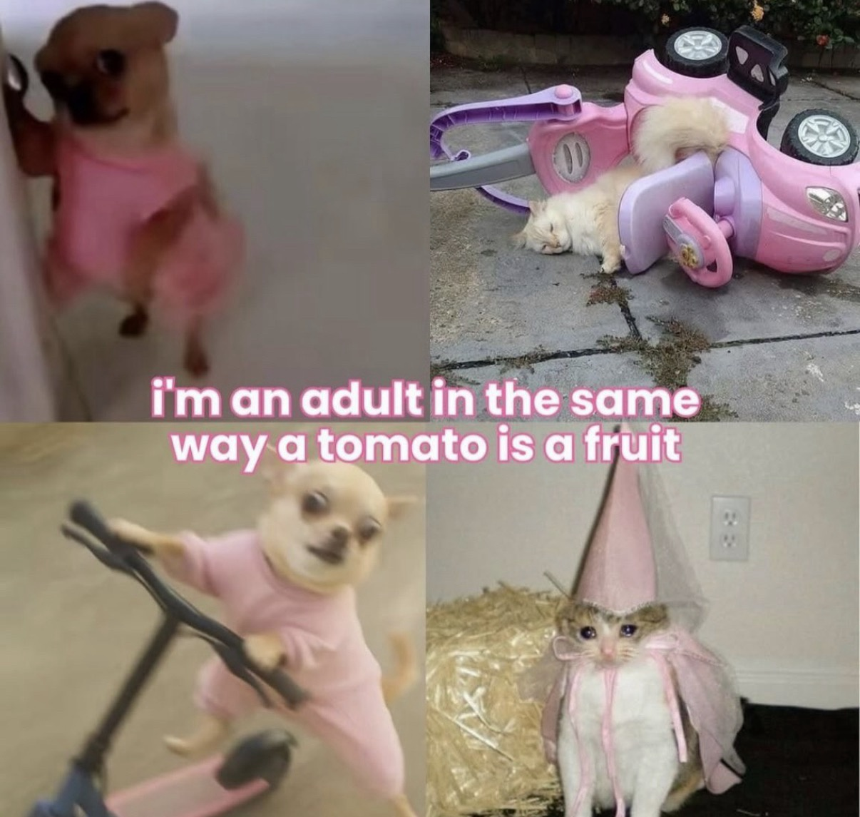 1777496583398.png