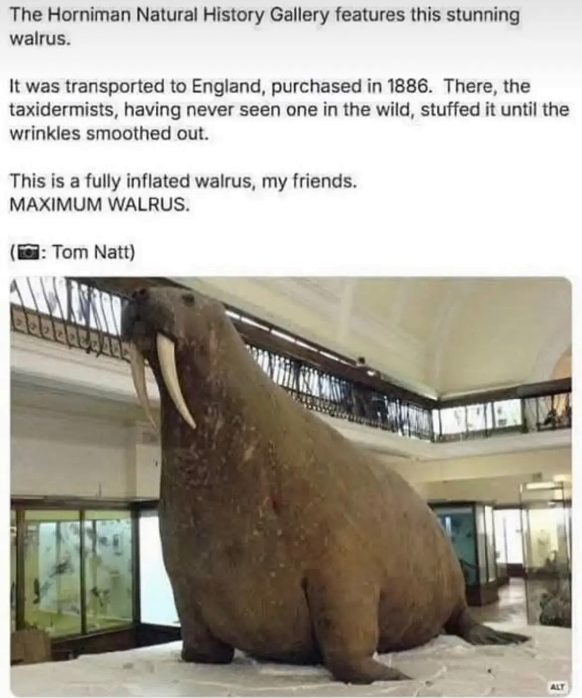 1777845842860.png