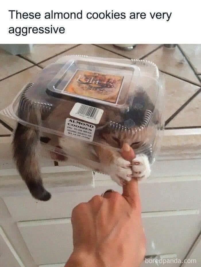 1777902367147.jpeg