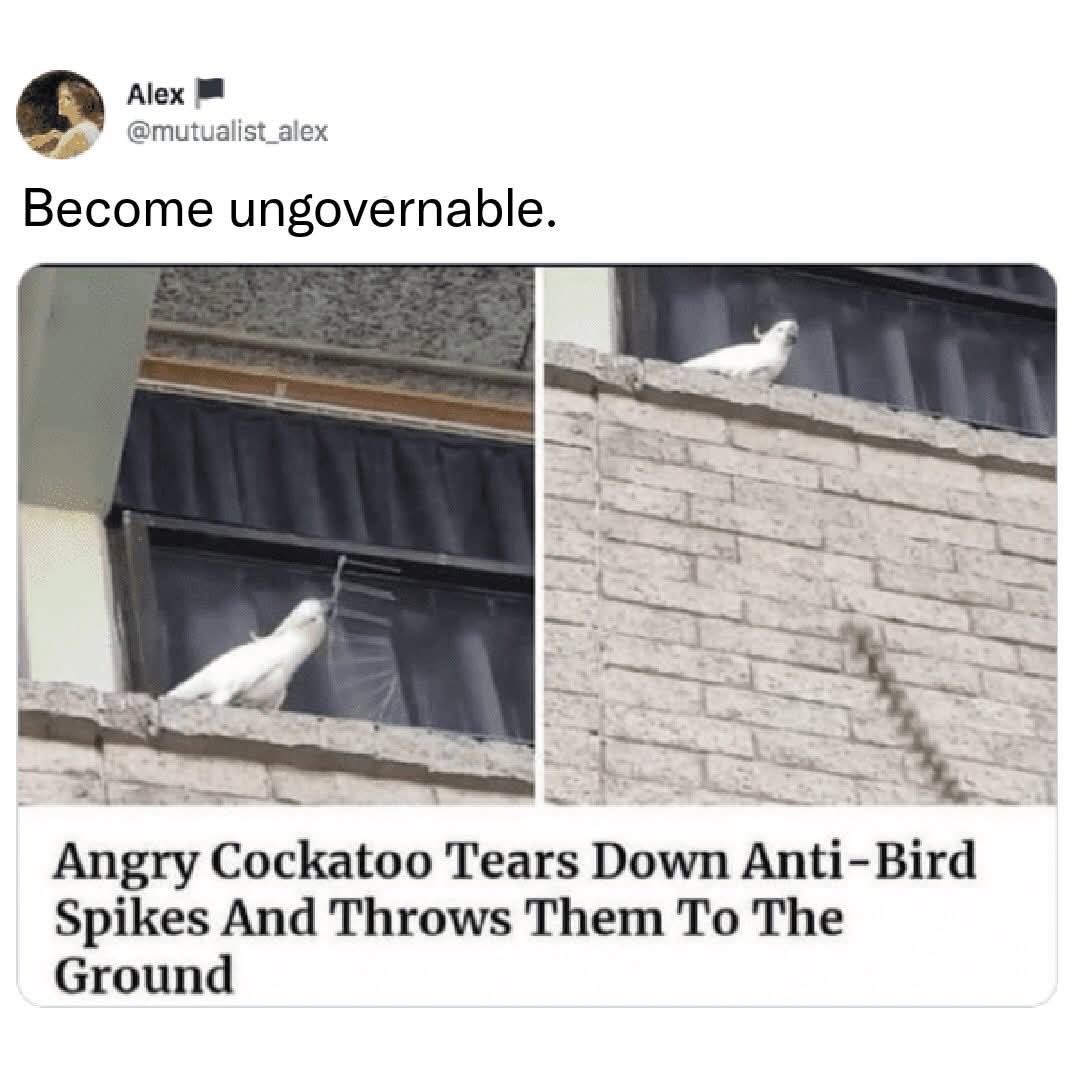 1778046530304.jpeg