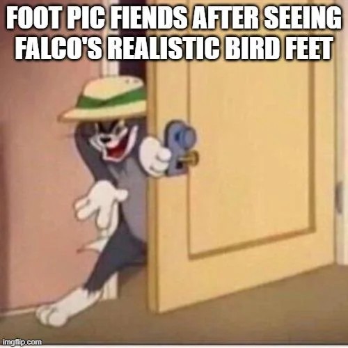 1778211919934.jpeg