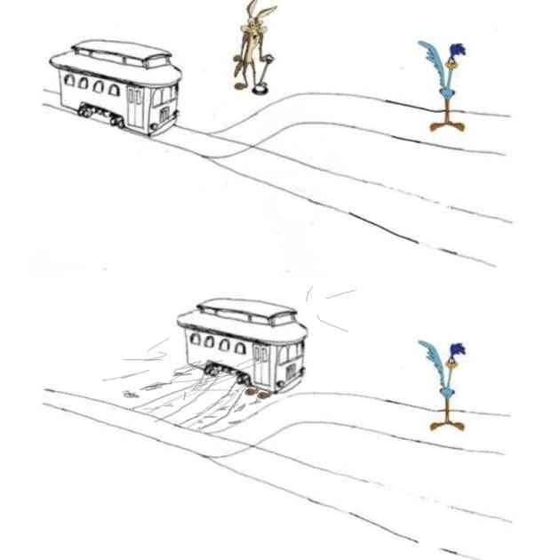 1778311302639.jpeg