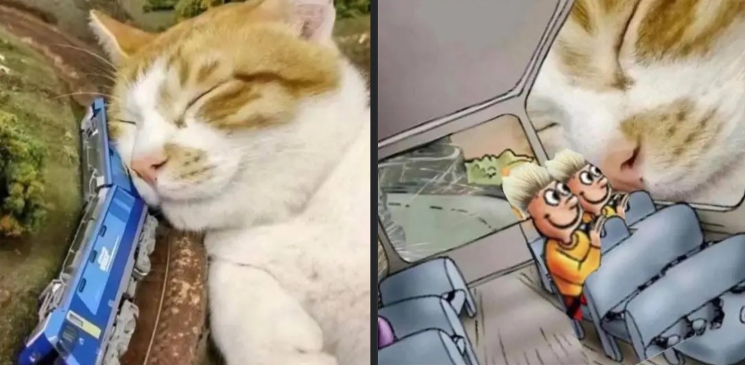 1778343847126.jpeg