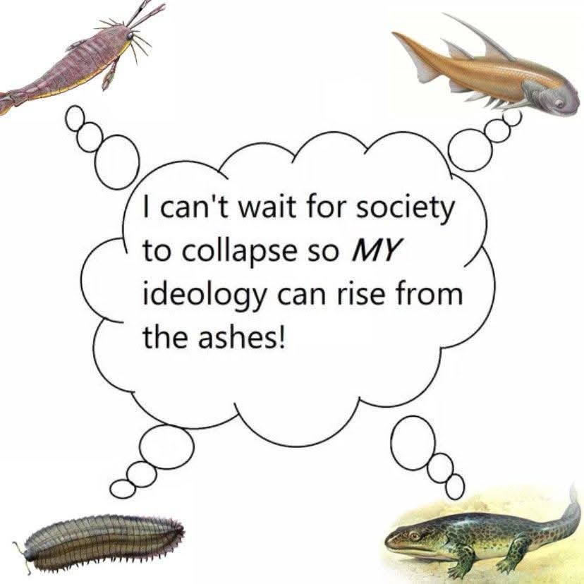 1778444064864.jpeg