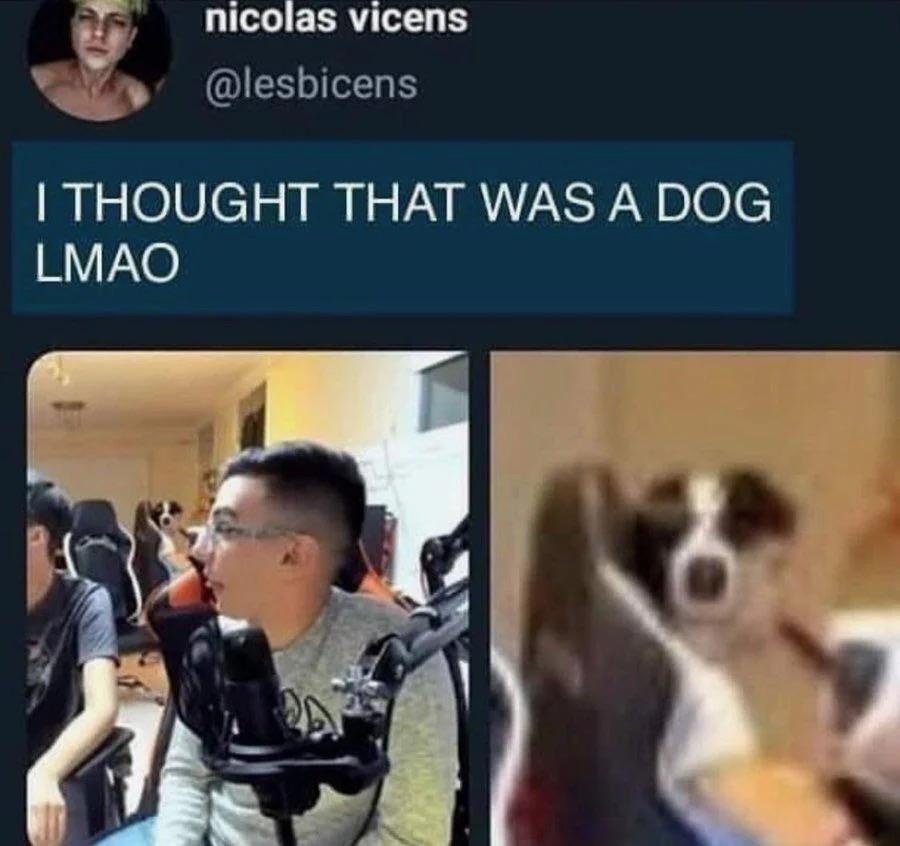 1778450045095.png