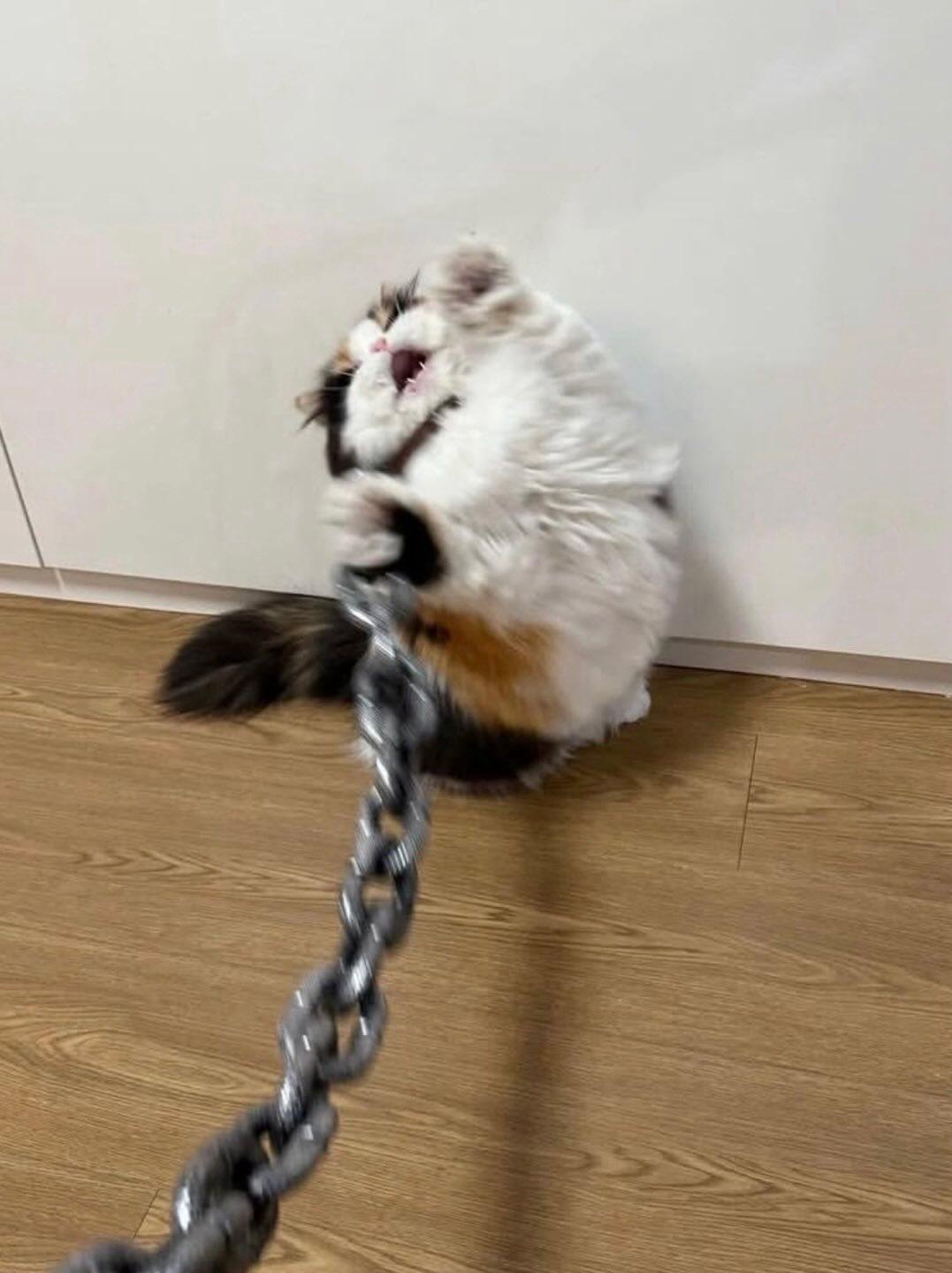 1778504915507.jpeg