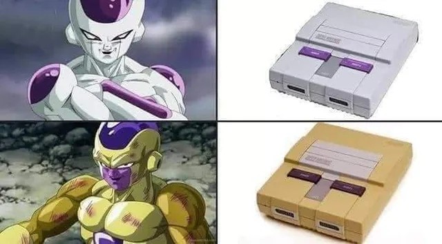 1778818683026.jpeg