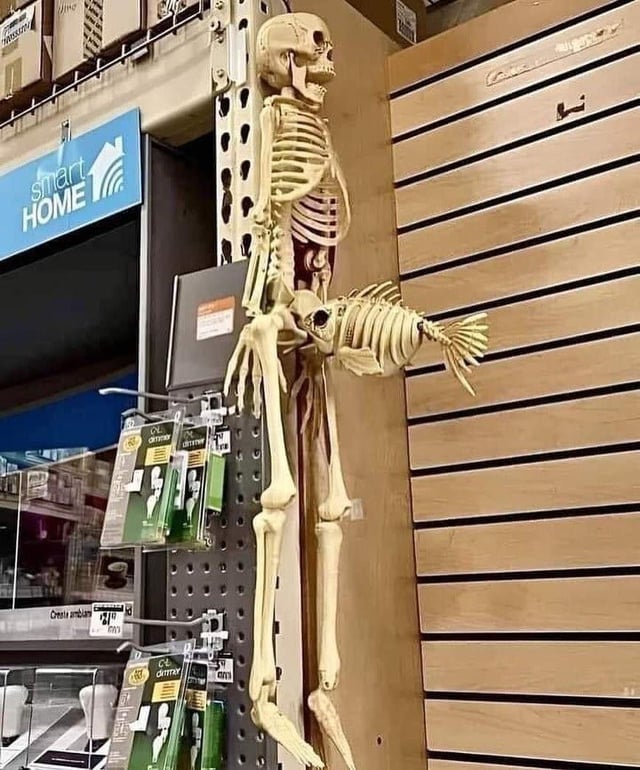 1779008153617.jpeg