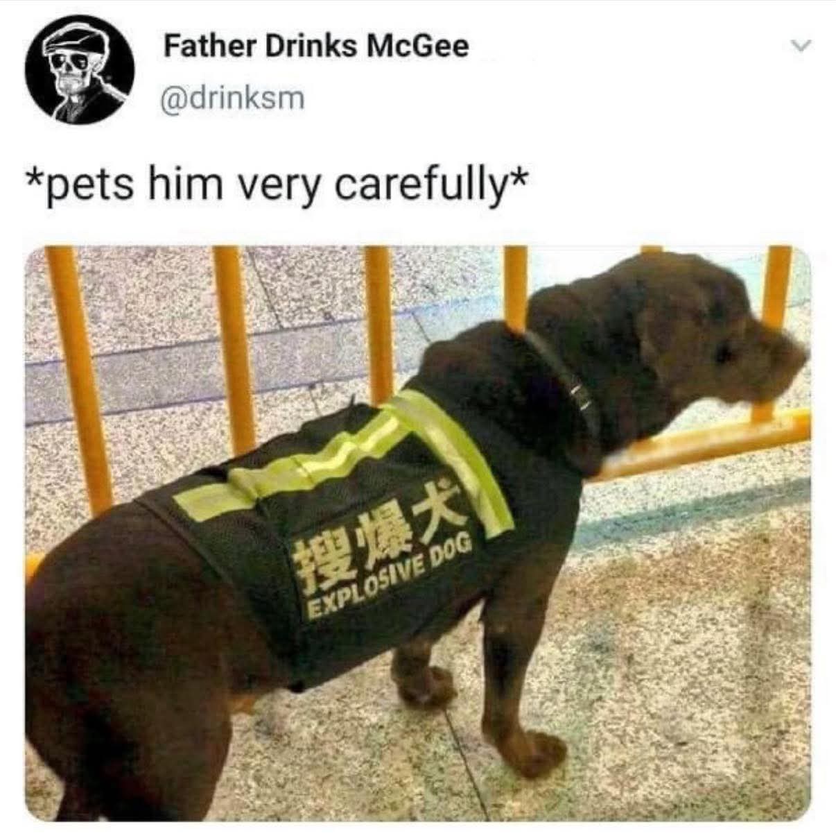 1779049498606.jpeg