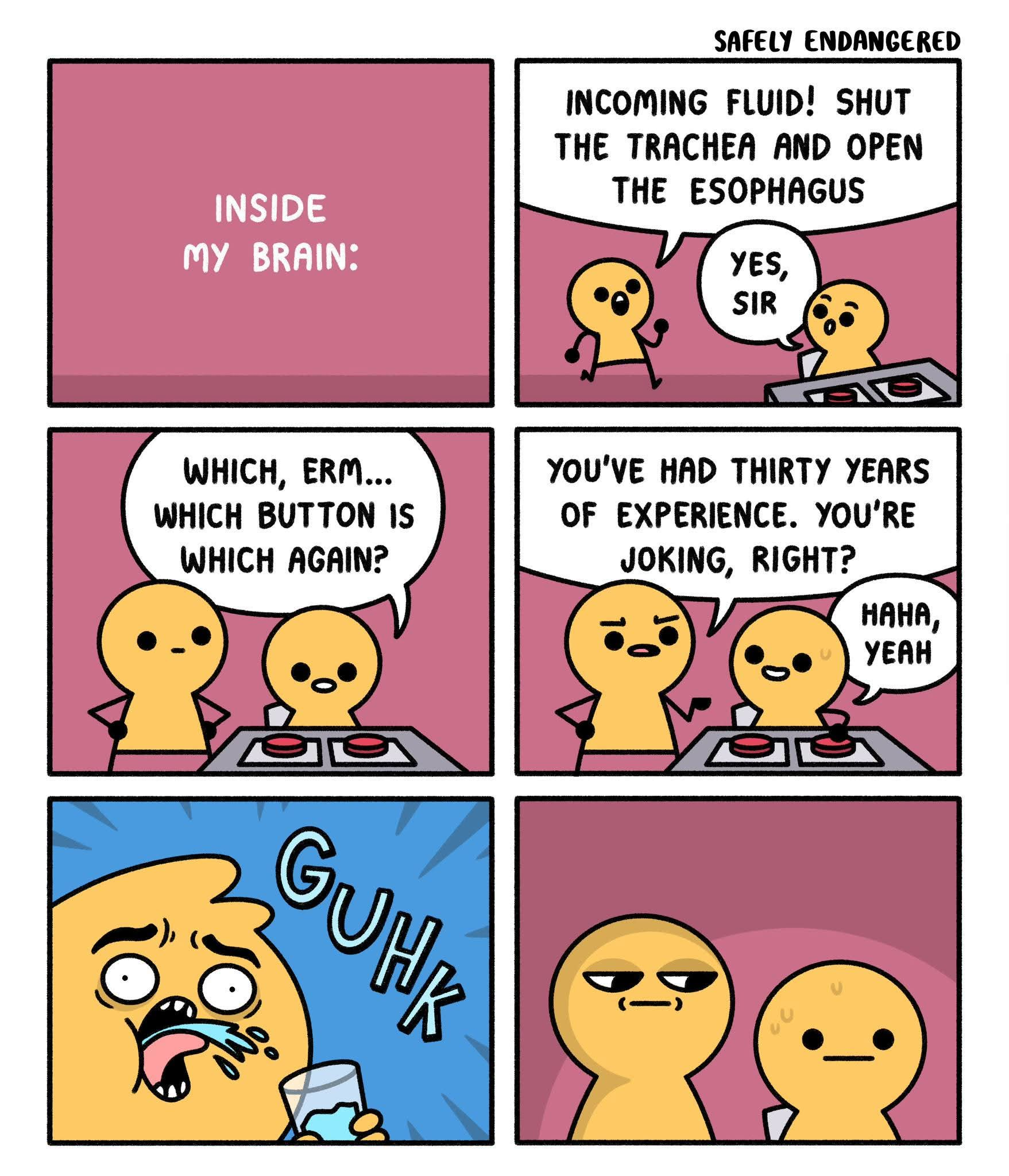 1779058505658.png