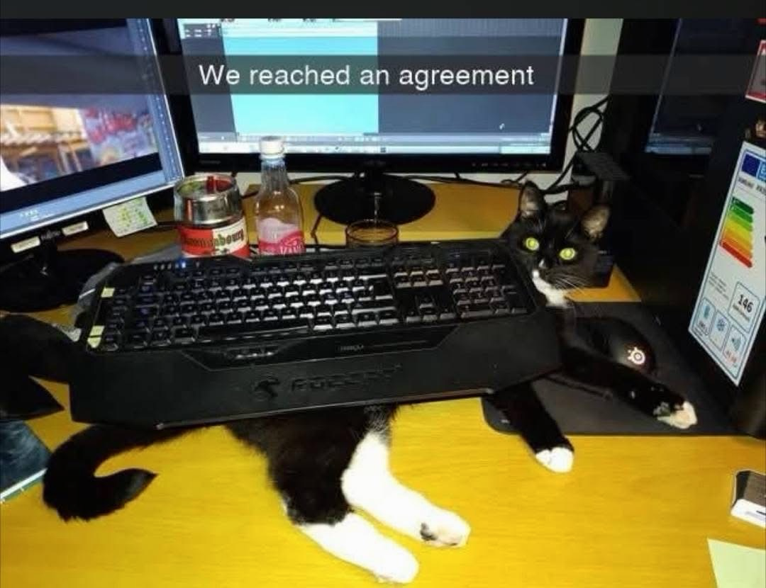 1779058931570.png