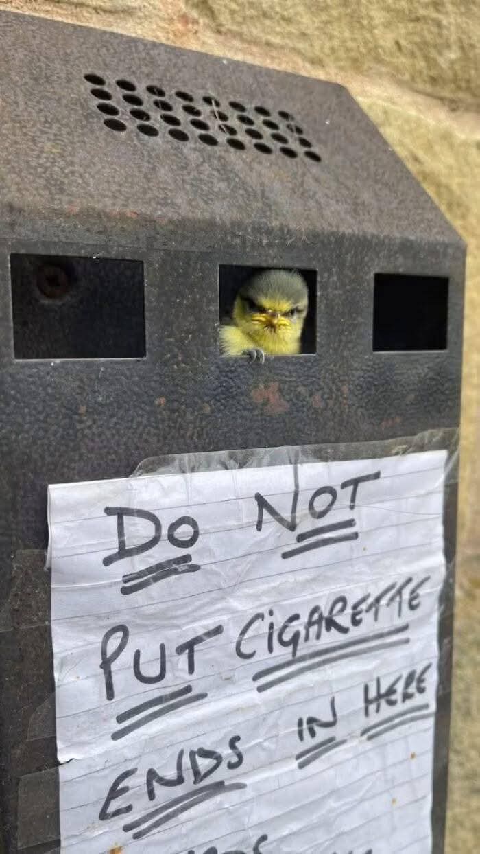 1779293743218.jpeg