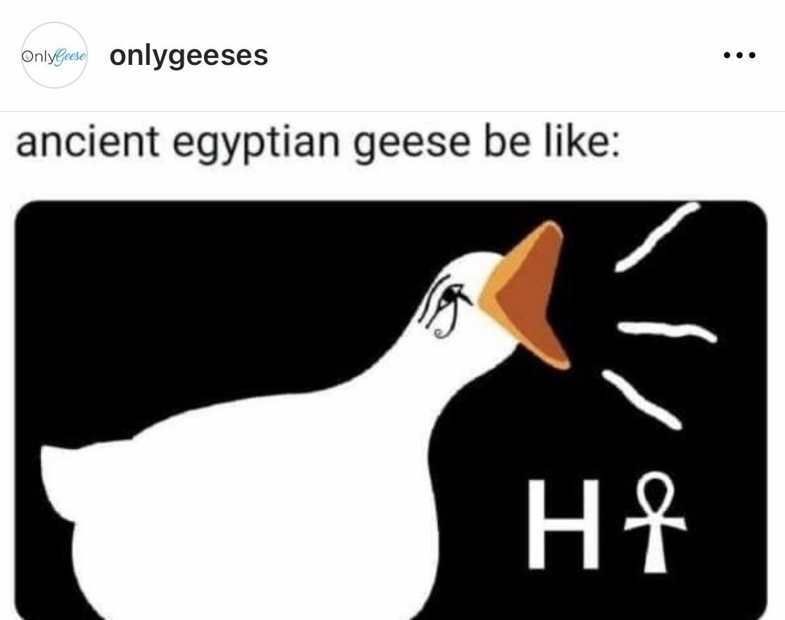 1779395917598.jpeg