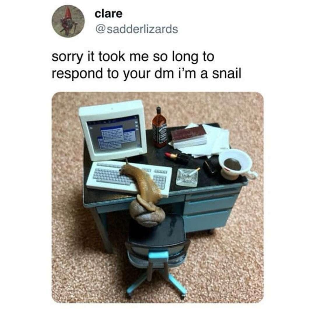 1779405879786.png